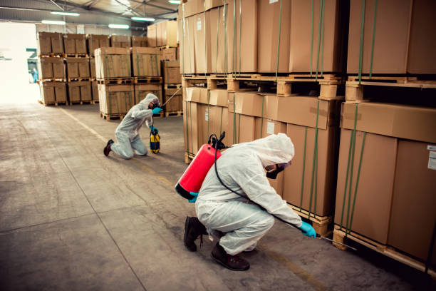Best Insect Control  in Panguitch, UT