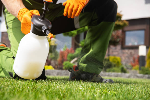 Best Wildlife Control Services  in Panguitch, UT