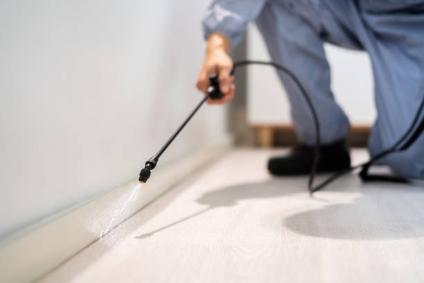 Best Pest Prevention Services  in Panguitch, UT