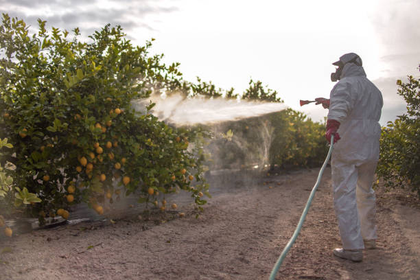 Best Cockroach Control Services  in Panguitch, UT