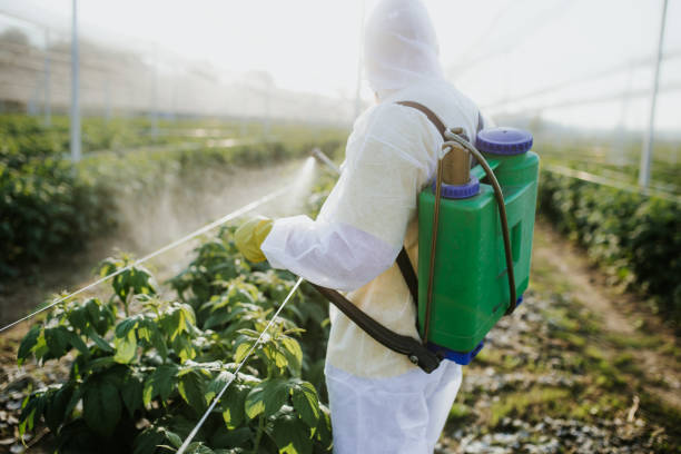 Best Best Pest Control Near Me  in Panguitch, UT